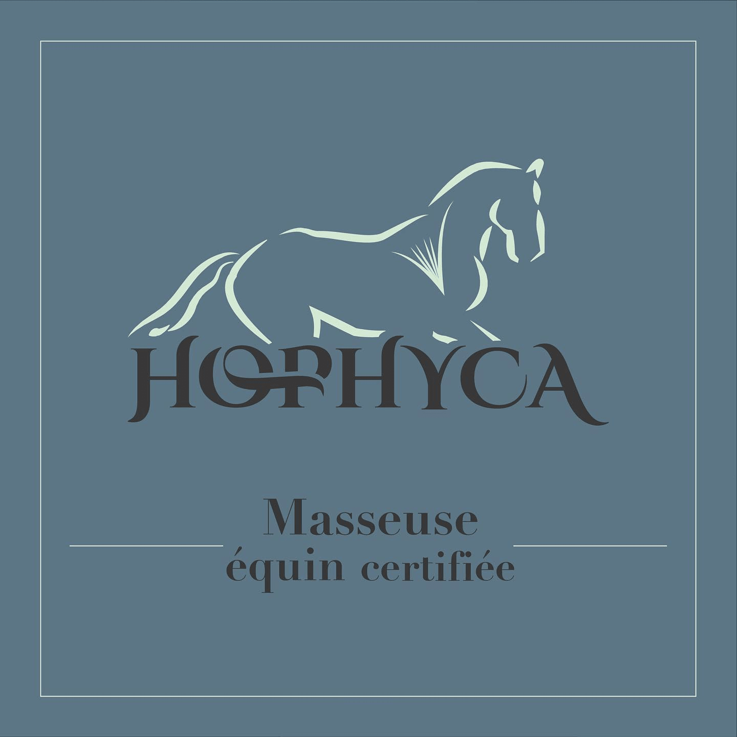 Logo HOPHYCA